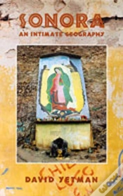 Capa do artigo Sonora