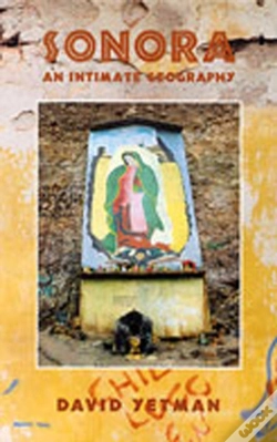 Capa do artigo Sonora