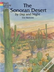 Capa do artigo Sonoran Desert By Day And Night