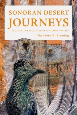 Capa do artigo Sonoran Desert Journeys