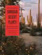 Sonoran Desert Plants - Preview