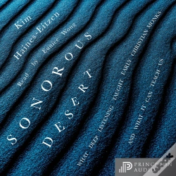 Capa do artigo Sonorous Desert