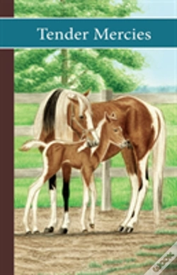 Capa do artigo Sonrise Stable: Tender Mercies