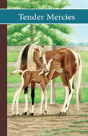 Sonrise Stable: Tender Mercies - Preview
