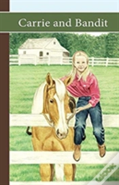 Capa do artigo Sonrise Stable