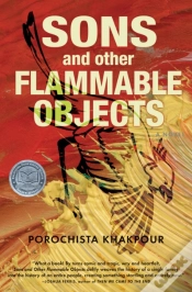 Capa do artigo Sons And Other Flammable Objects