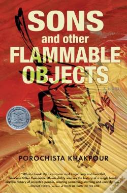 Capa do artigo Sons And Other Flammable Objects