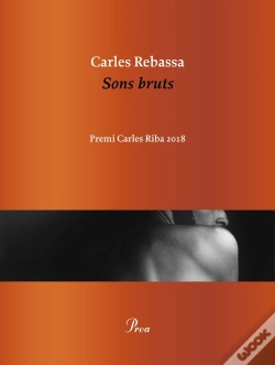 Capa do artigo Sons Bruts
