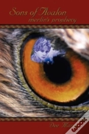 Capa do artigo Sons Of Avalon: Merlin