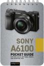 Sony A6100: Pocket Guide - Preview