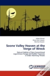 Soone Valley Heaven At The Verge Of Wreck