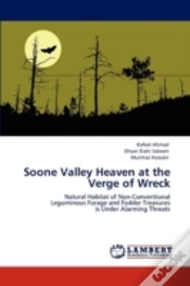 Capa do artigo Soone Valley Heaven At The Verge Of Wreck