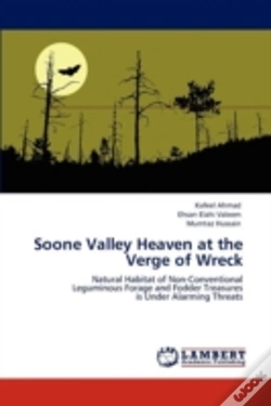 Capa do artigo Soone Valley Heaven At The Verge Of Wreck