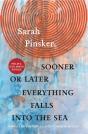 Sooner Or Later Everything Falls Into The Sea - Preview