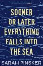 Sooner Or Later Everything Falls Into The Sea - Preview