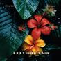 Soothing Rain - Preview