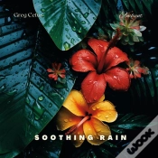 Capa do artigo Soothing Rain