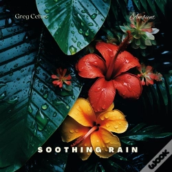 Capa do artigo Soothing Rain