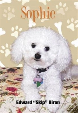 Capa do artigo Sophie