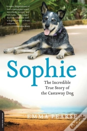Capa do artigo Sophie