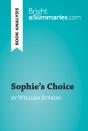Sophie'S Choice By William Styron (Book Analysis) - Preview