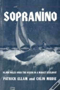 Capa do artigo Sopranino