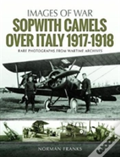 Capa do artigo Sopwith Camels Over Italy, 1917-1918