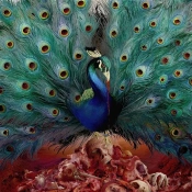 Capa do artigo Sorceress - CD
