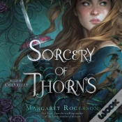 Capa do artigo Sorcery Of Thorns