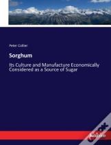 Sorghum