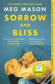 Capa do artigo Sorrow And Bliss