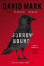 Sorrow Bound - Preview