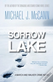 Capa do artigo Sorrow Lake