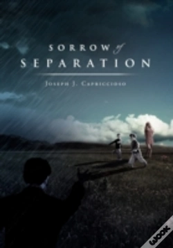 Capa do artigo Sorrow Of Separation
