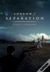Capa do artigo Sorrow Of Separation