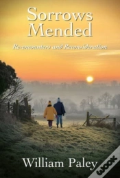 Capa do artigo Sorrows Mended