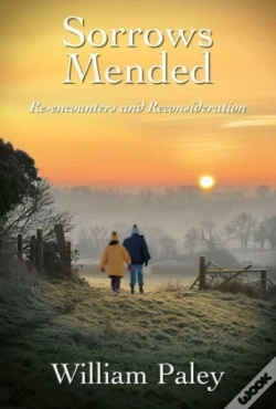 Capa do artigo Sorrows Mended