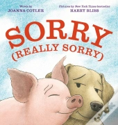 Sorry (Really Sorry)