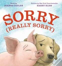 Capa do artigo Sorry (Really Sorry)