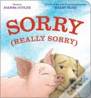 Sorry (Really Sorry)