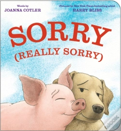 Capa do artigo Sorry (Really Sorry)