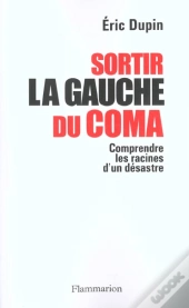 Sortir La Gauche Du Coma ; Comprendre Les Raisons D'Un Désastre