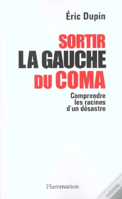 Capa do artigo Sortir La Gauche Du Coma ; Comprendre Les Raisons D'Un Désastre