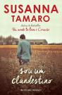 Sou um Clandestino - Preview