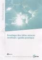 Soudage Des Tôles Minces Revêtues : Guide Pratique (Performances, 9q71) - Preview