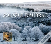 Capa do artigo Souffle D