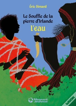 Capa do artigo Souffle De La Pierre D'Irlande (Le) T4 L'Eau