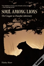 Capa do artigo Soul Among Lions