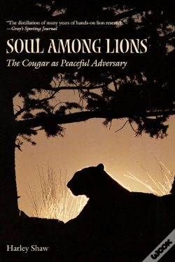 Capa do artigo Soul Among Lions