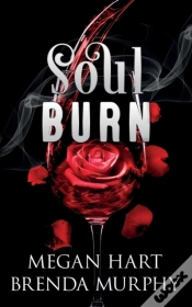 Capa do artigo Soul Burn